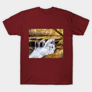 Waterfall In Autumn T-Shirt